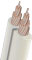 Speaker Wire