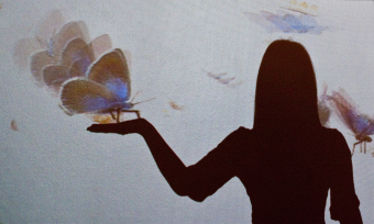 Butterflies