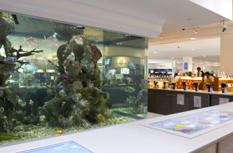 Fish Tank
