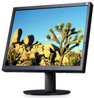 Sony StylePro Series 20" Flat Panel LCD Monitor - SDMS204B