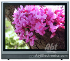 Sharp 20" LCD Television