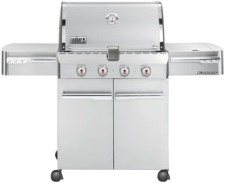 Weber 1710001 - Larger Image