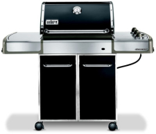 Weber 3741301 - Larger Image