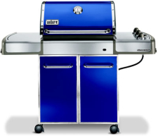 Weber 3748301 - Larger Image