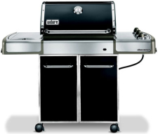 Weber 3851301 - Larger Image