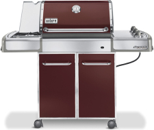 Weber 3754301 - Larger Image