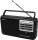 Sony Portable Radio - ICF36