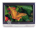 Toshiba 26HF66 - Larger Image