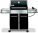 Weber 3841301 - Larger Image