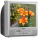 Haier TCF20 - Large Image