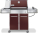 Weber 3754301 - Larger Image