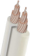 Audioquest G2WH100FT