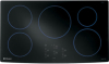 GE Monogram ZHU36RBMBB