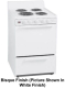 Premier ECK100BT