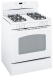 GE JGBP28WH
