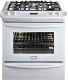 Frigidaire FGDS3065WH