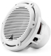 JL Audio M10IB5CGWH