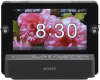 Sony ICFCL75IP