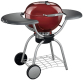 Weber 1364001