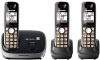 Panasonic KXTG6513B