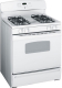 GE JGBS18WWH