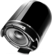 Focal DOMESUBBL