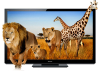 Panasonic TCP65GT30