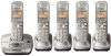 Panasonic KXTG4025N