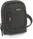 Lowepro RIDGE10BK