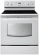 Samsung FER300WH