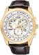 Citizen AT118307A