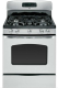 GE JGB600SS
