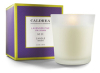Caldrea 18023