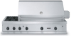 Viking Outdoor VGBQ5323RE2NSS
