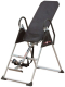 Body-Solid BFINVER10