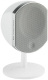 Focal JMLLIBIWH