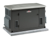 Briggs & Stratton 40303B