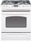 GE JGSP42WH