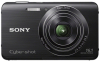 Sony DSCW650B