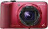 Sony DSCHX10VR