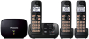 Panasonic KXTG4753B