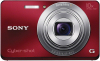 Sony DSCW690R