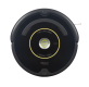 iRobot R650020