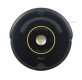 iRobot R650020