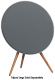 Bang & Olufsen 1605513
