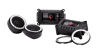 Rockford Fosgate T1TS