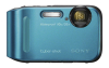 Sony DSCTF1L