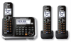Panasonic KXTG6843B