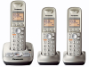 Panasonic KXTG4223N