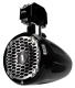Rockford Fosgate M262BWAKE